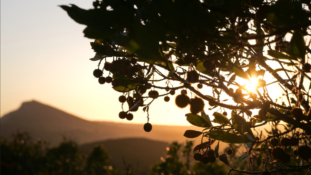 O Território Arrábida: do compromisso à ação climática